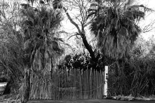 Mulege