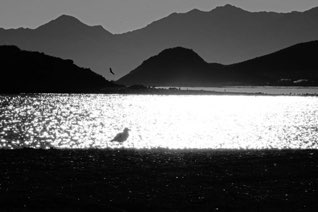 Mulege
