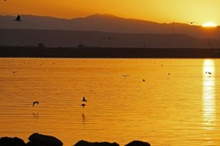San Quintin