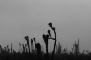 Goodbyes