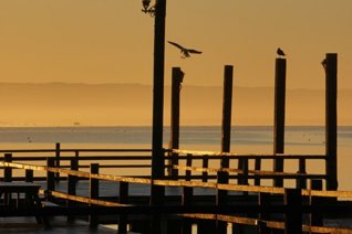 San Quintin