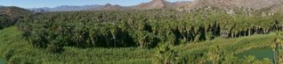 Mulege