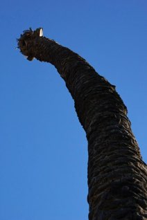 Baja