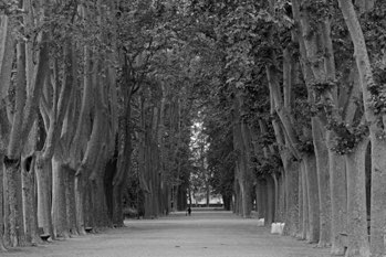Park, Gerona