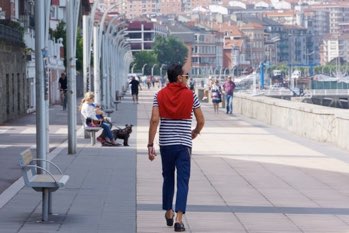 The strut