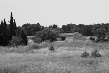 Countryside, South of France