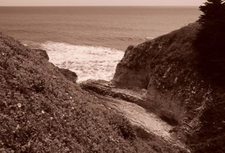 Davenport