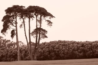 San Francisco