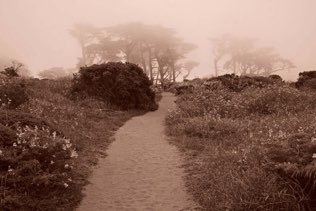 Point Reyes
