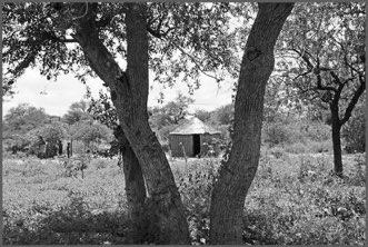 First sight, Denui, Namibia