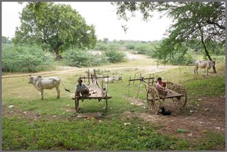 Village scene, India
