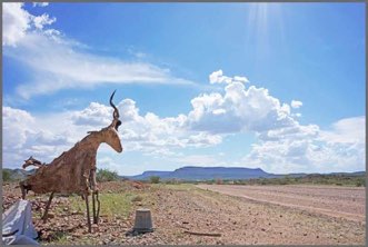 Fauna