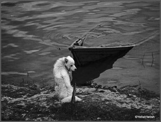 B&W Gallery