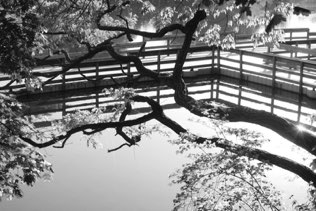 Untitled, OH