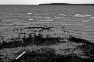 Untitled,MI