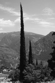 Delphi