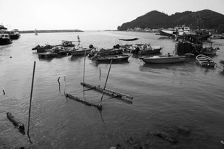 Untitled, Tai O