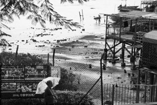 Untitled, Tai O