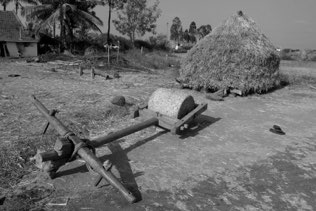 Farming site