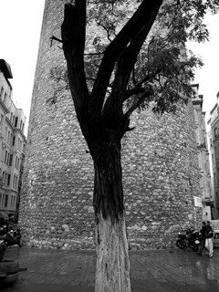 Galata Tower