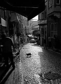 After the rain