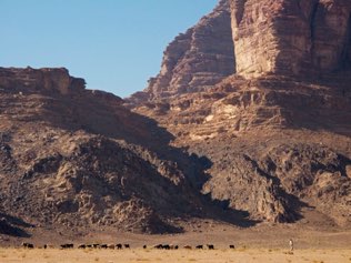 Wadi Rum