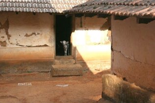Shanthalli, Coorg