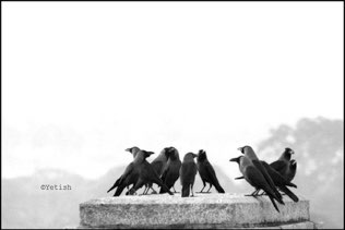 Untitled, Mysore