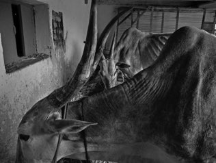 Hanumanthapura