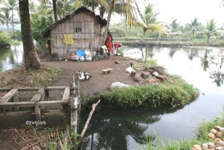Island dwelling