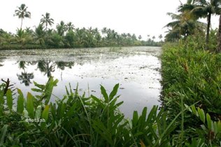 Backwaters
