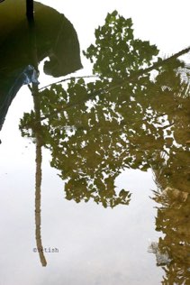 Kerala