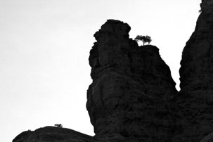 Landscapes