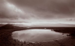 Untitled, UT