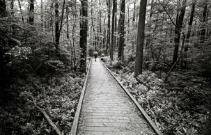 Woods, NJ