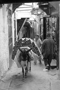 Untitled, Fez