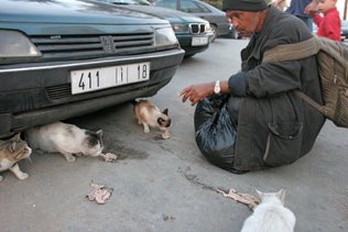 Untitled, Rabat