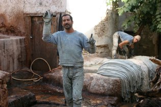 Tannery, Fez