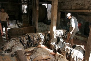 Tannery, Fez