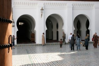 Untitled, Fez