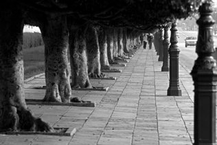 Rabat