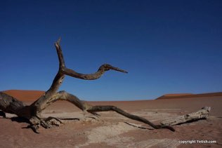 Sossusvlei