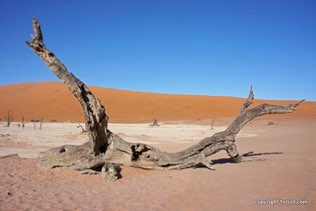 Sossusvlei
