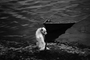 Sinking
