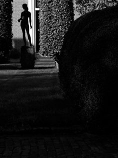 Untitled, Haarlem