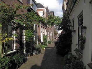 Untitled, Haarlem