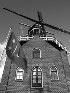 Untitled, Haarlem