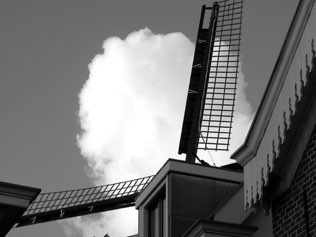 Untitled, Haarlem