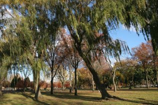 Overpeck park