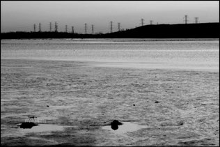 Electric Horizon
